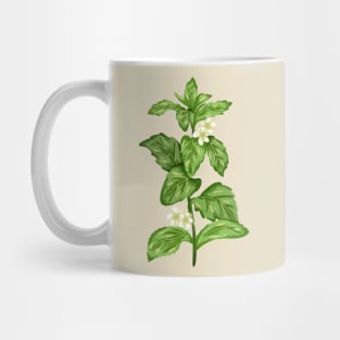 Stevia Plant  Botanical Mug